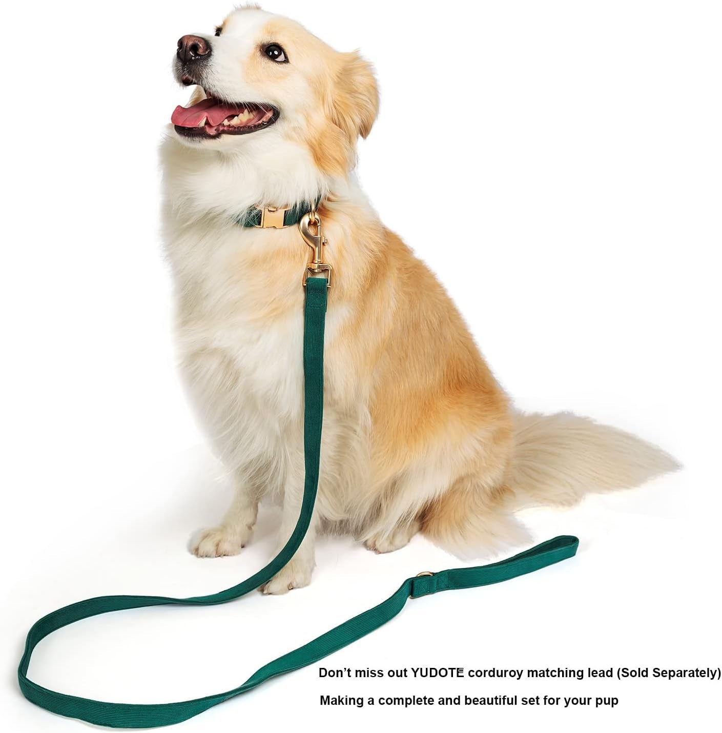 Ultra-Soft Dog Collar Natural Cotton Corduroy