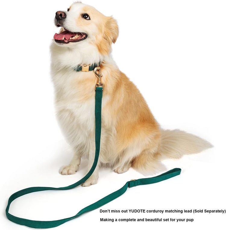 Ultra-Soft Dog Collar Natural Cotton Corduroy