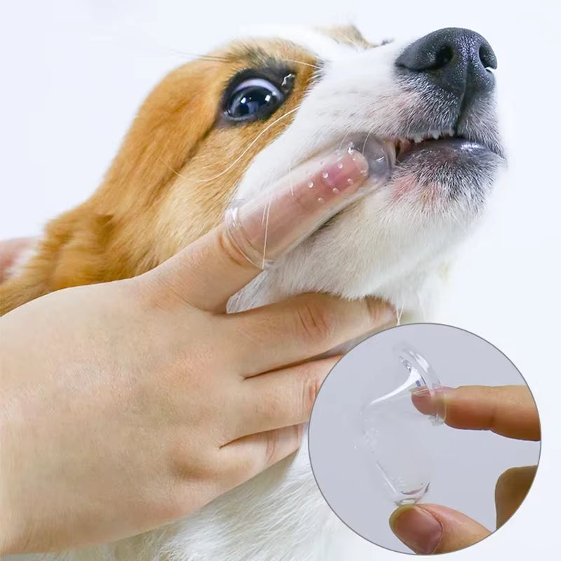 super soft pet finger toothbrush teddy
