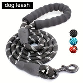 dogs leash running elasticity hands