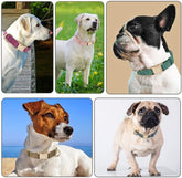 Ultra-Soft Dog Collar Natural Cotton Corduroy