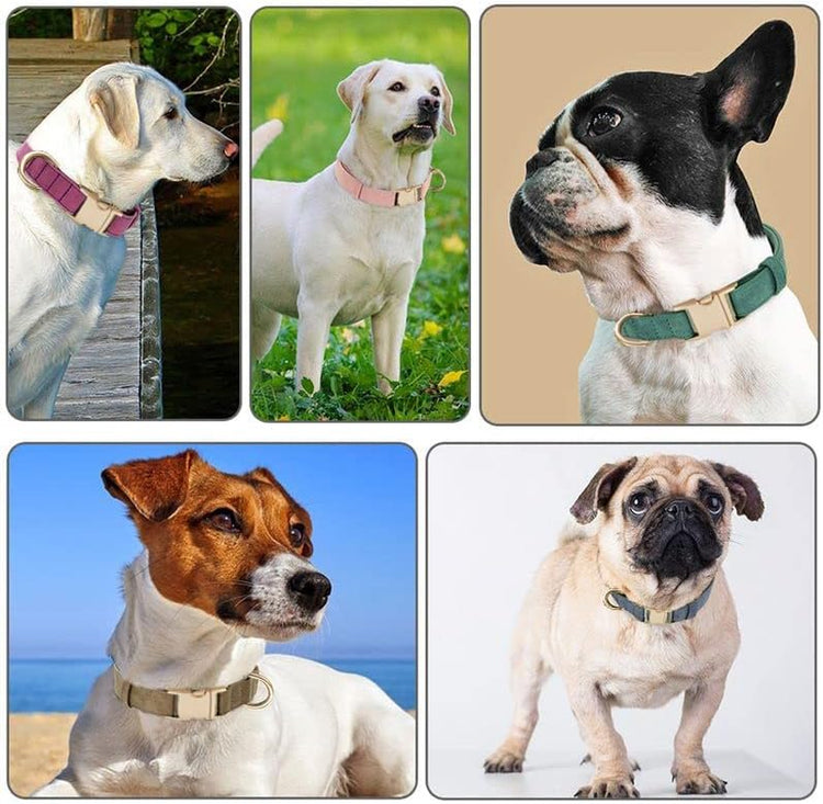 Ultra-Soft Dog Collar Natural Cotton Corduroy