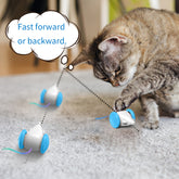 Interactive Toy For Cats Simulation