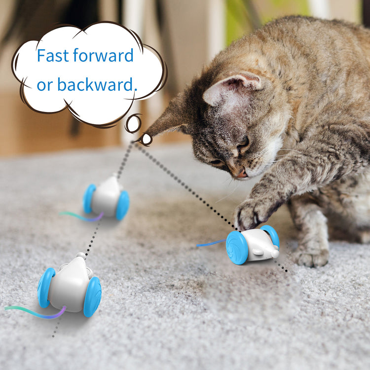 Interactive Toy For Cats Simulation