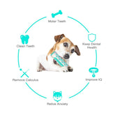 Dog Squeaky Toys For Aggressive Chewers