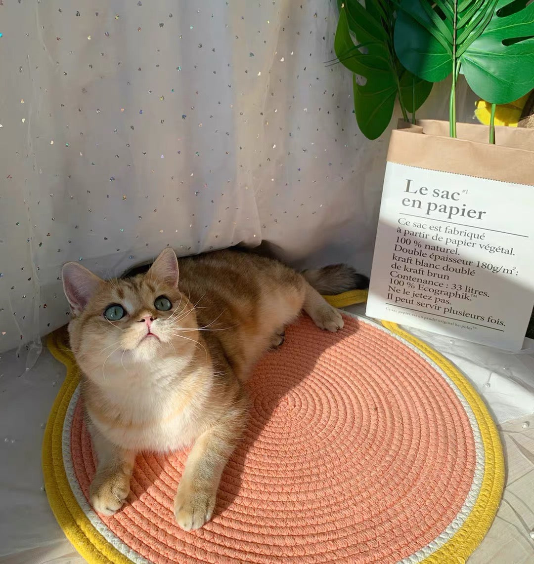 Cat Climbing Frame Sisal Cat Scratching
