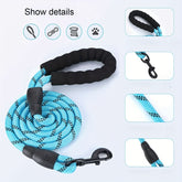 dogs leash running elasticity hands