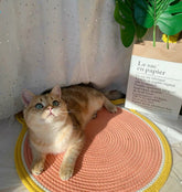 Cat Climbing Frame Sisal Cat Scratching